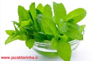 عرق نعنا